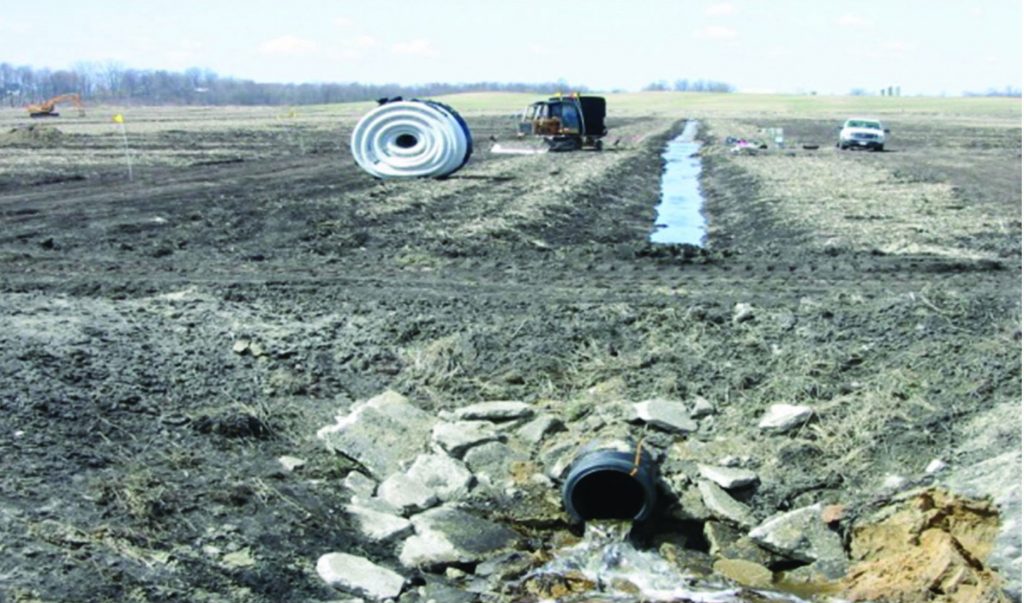 Urgent action needed to protect the world’s wetlands Sustainable